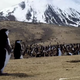 Planet Earth II